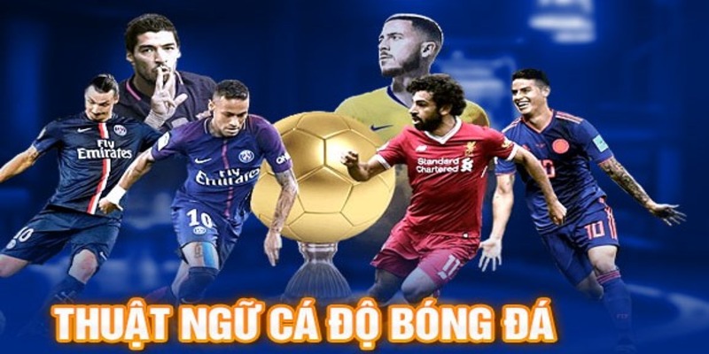 Những cụm từ liên quan đến các loại kèo trong bóng đá